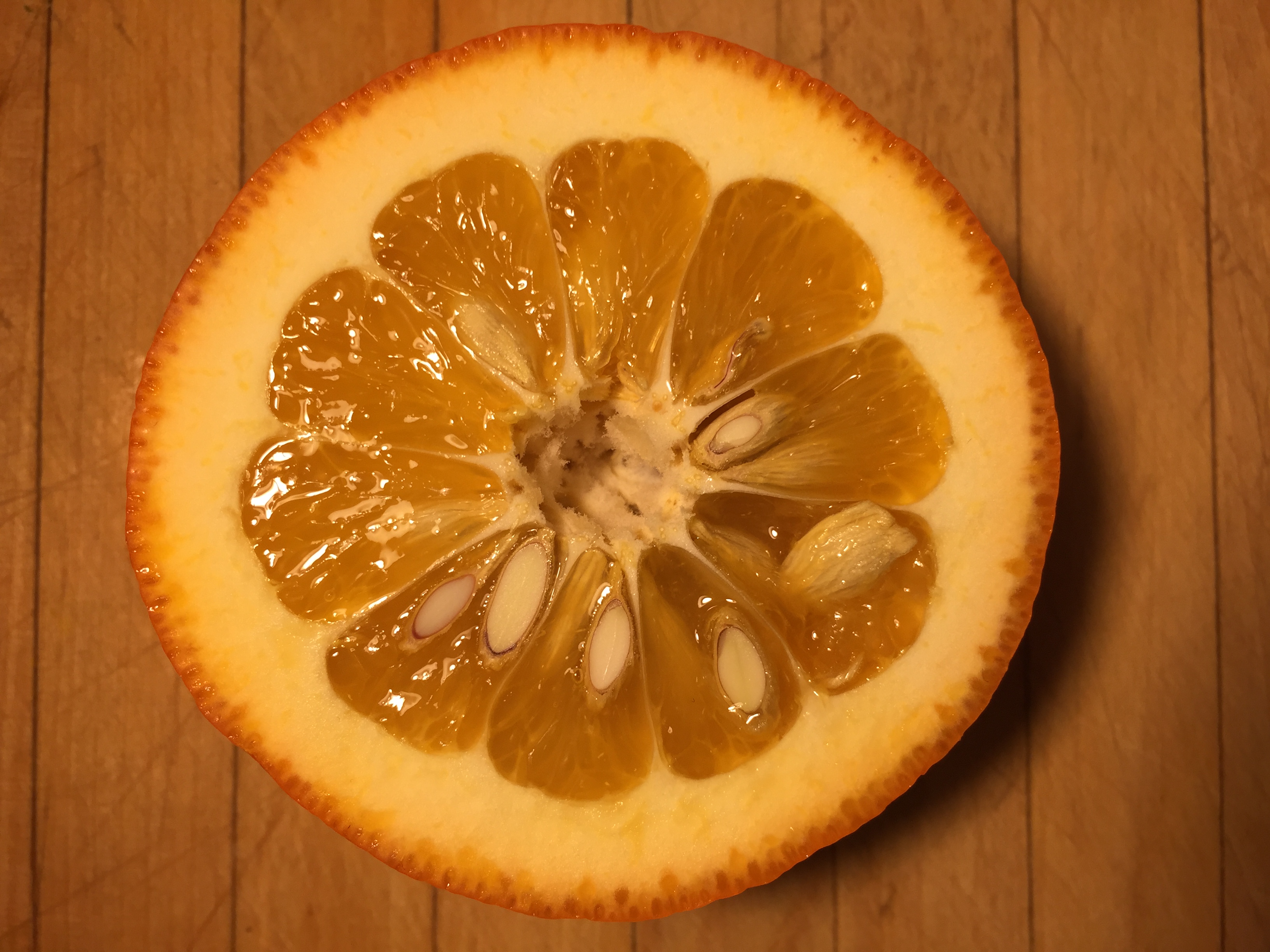 Seville Sour Oranges & Fresh Bergamot Specialty Foods Boston